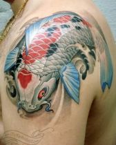 carpe-koi-tattoo-immagini