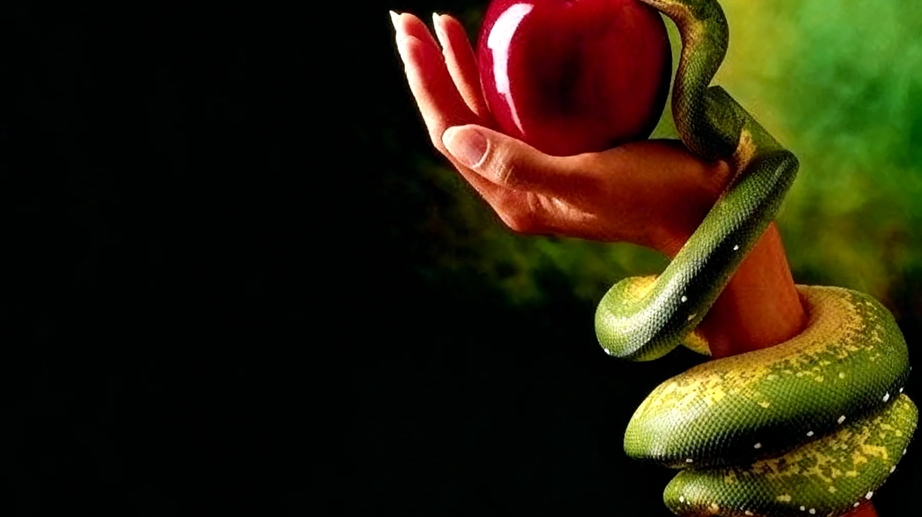 Forbidden Fruit2025-12-16T12:35:18.692Z"