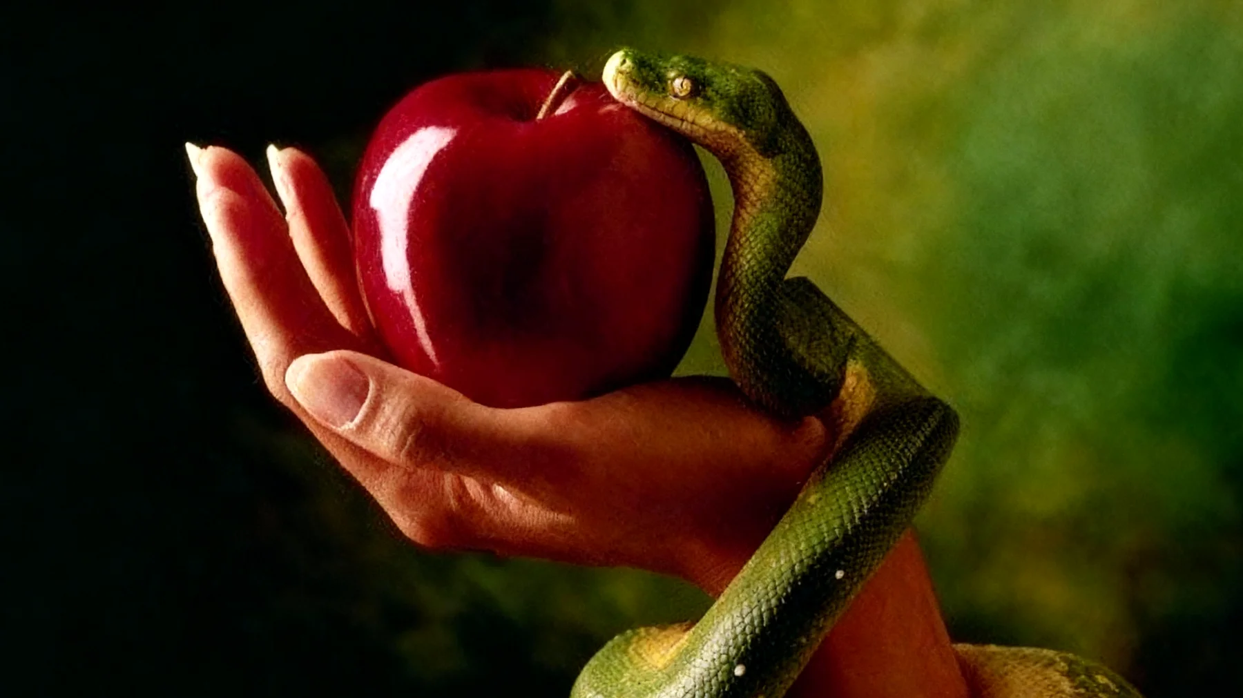 Forbidden Fruit2025-12-16T18:52:15.628Z"