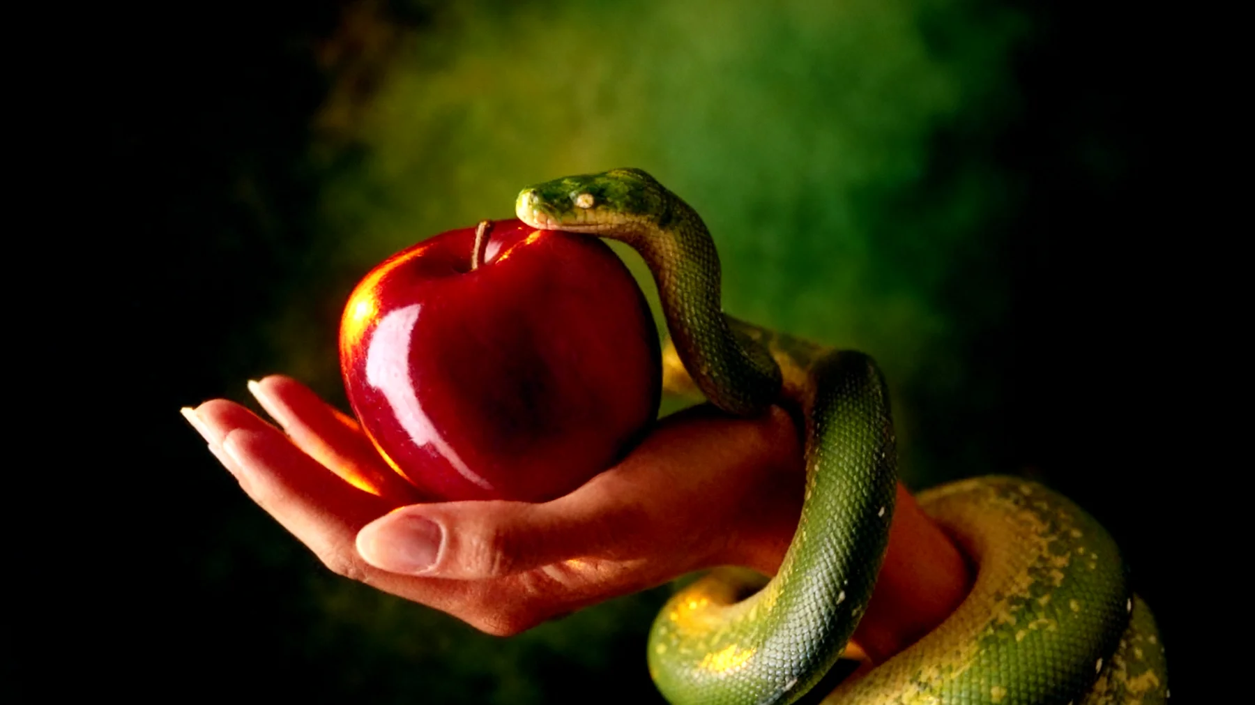 Forbidden Fruit2025-12-20T18:56:11.730Z"